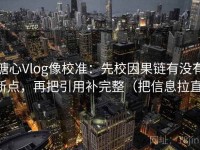 糖心Vlog像校准：先校因果链有没有断点，再把引用补完整（把信息拉直）