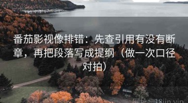 番茄影视像排错：先查引用有没有断章，再把段落写成提纲（做一次口径对拍）