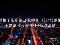 读柚子影视做口径对拍：核对段落是不是跳层后再把例子标注清楚