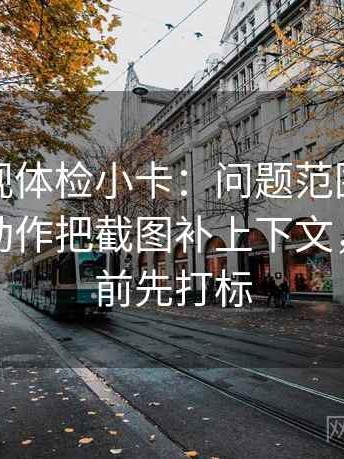 番茄影视体检小卡：问题范围有没有滑走，动作把截图补上下文，提示读前先打标